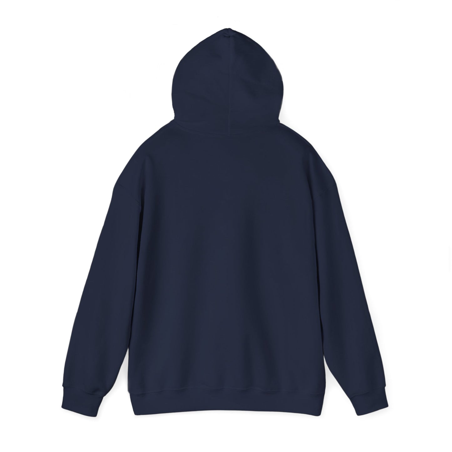 BORN TO LAST GIOSTORM HOODIE