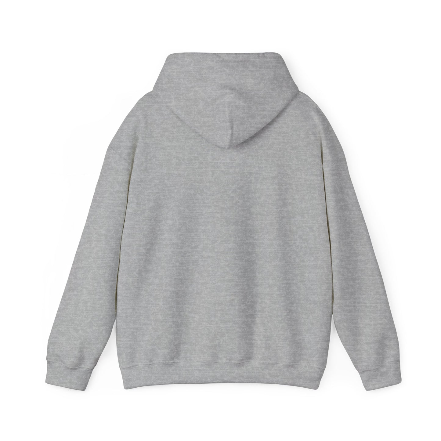 BORN TO LAST GIOSTORM HOODIE