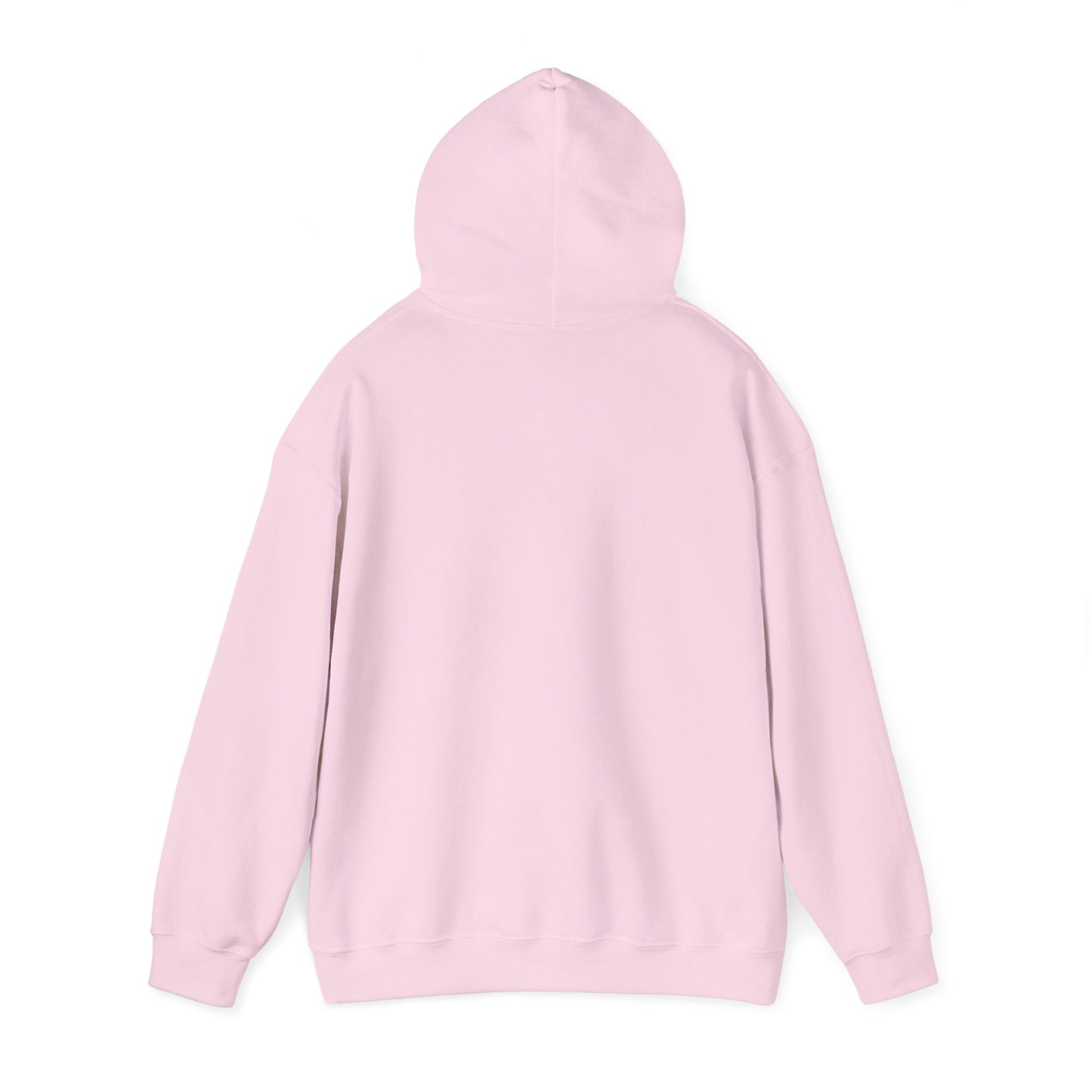 BORN TO LAST GIOSTORM HOODIE