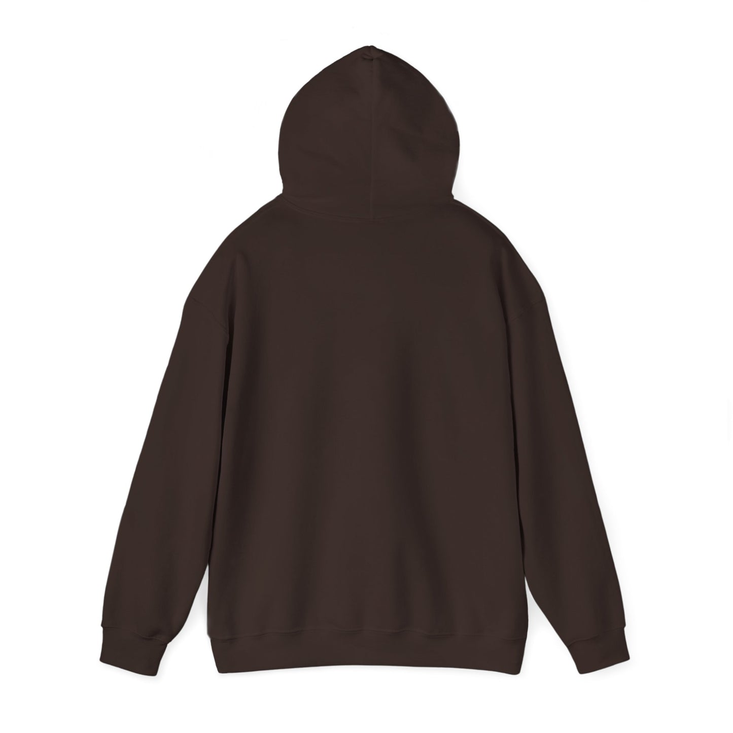 BORN TO LAST GIOSTORM HOODIE