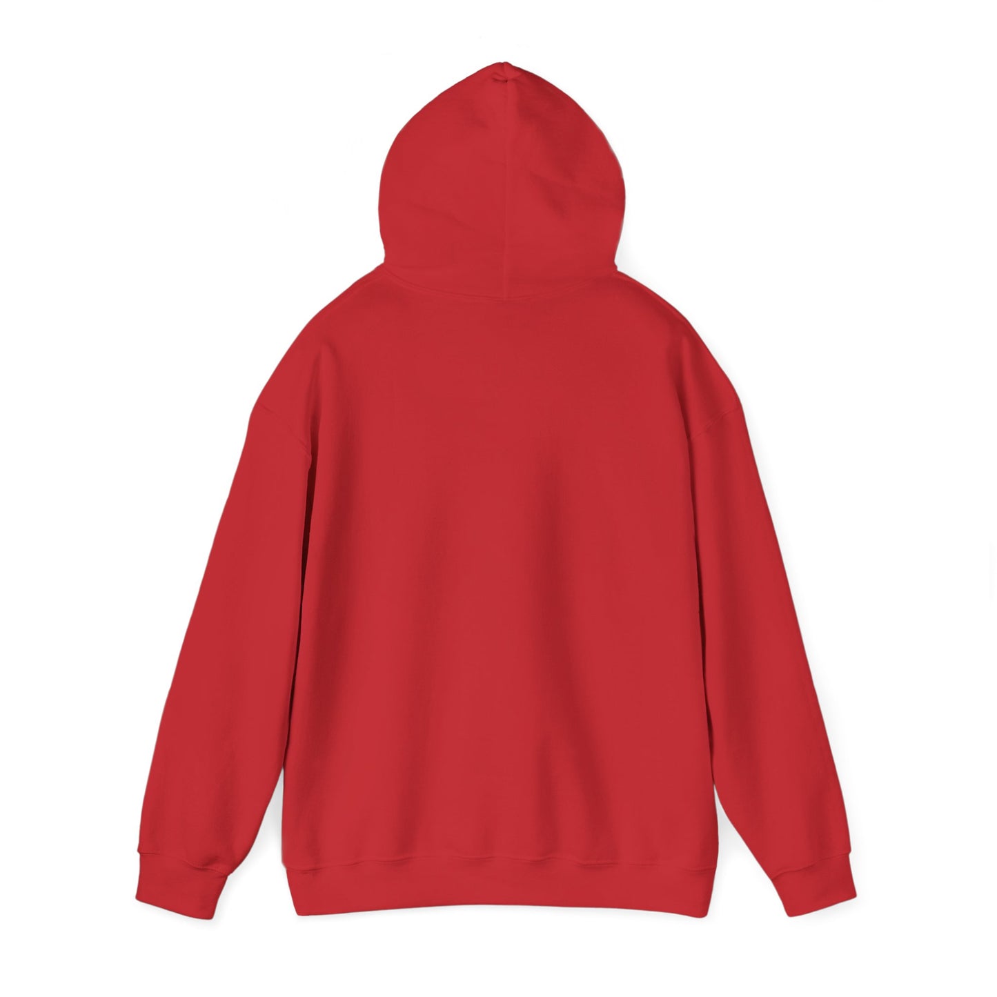 BORN TO LAST GIOSTORM HOODIE