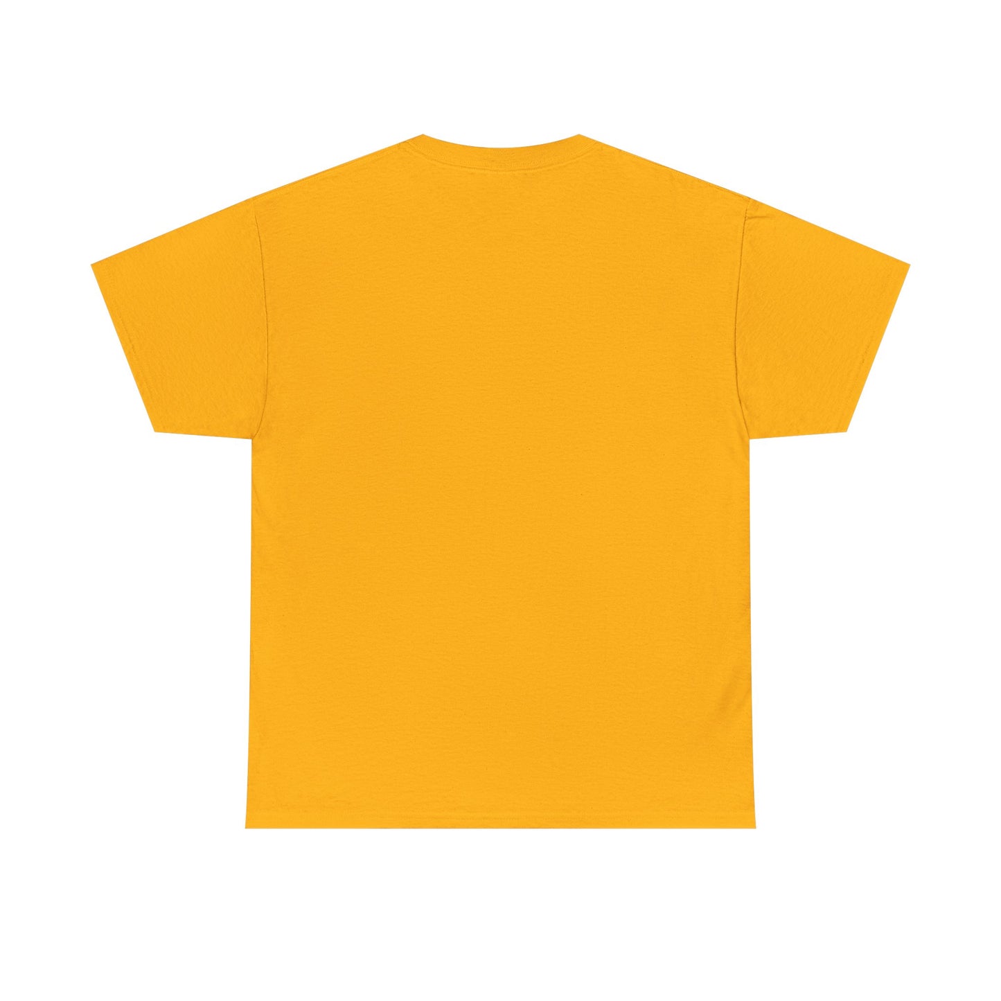GIOSTORM KIDS WOMEN/MEN Tee - Fun Casual Shirt for Everyday Wear, Gifts, Birthdays, Celebrations, Unique Statement Tee