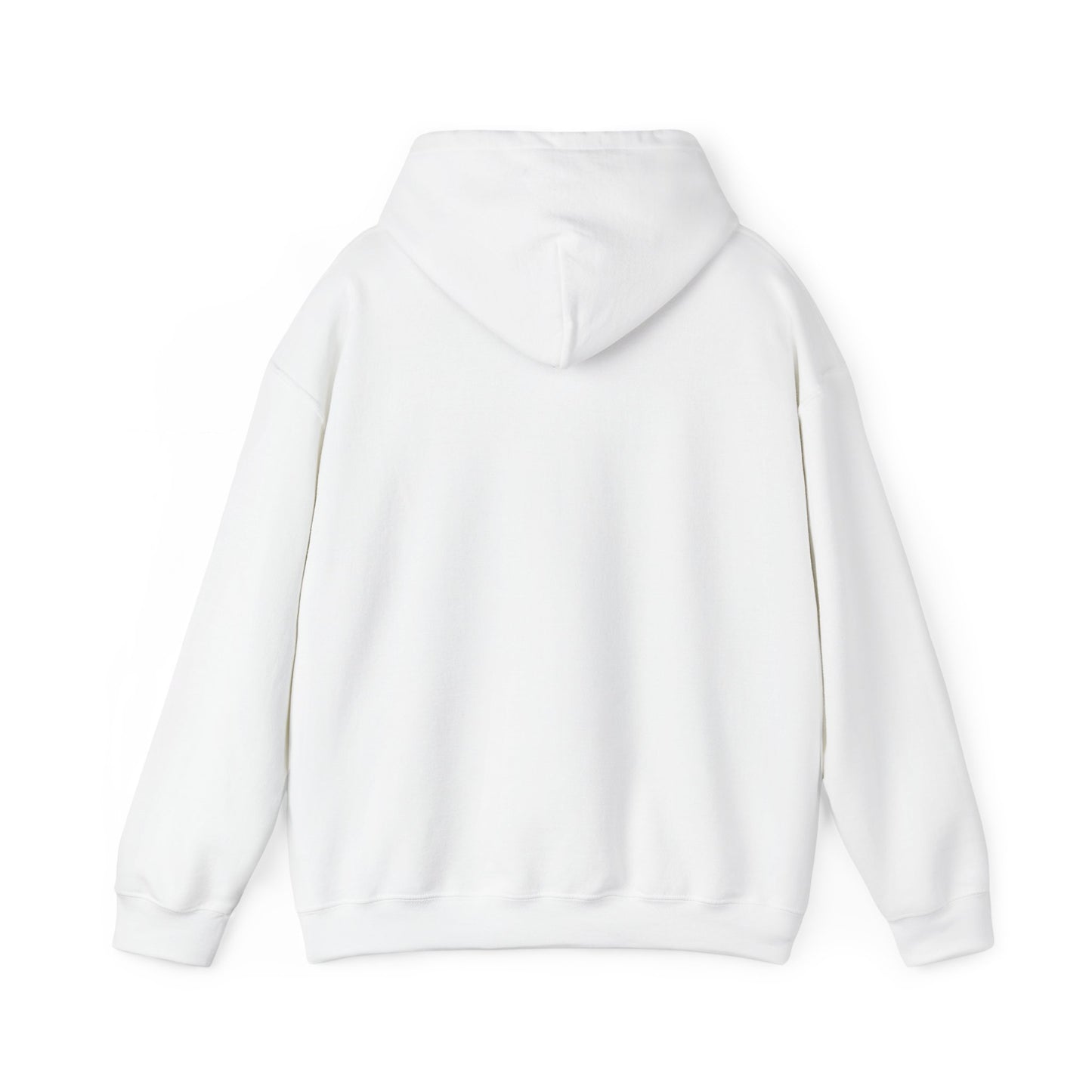 BORN TO LAST GIOSTORM HOODIE