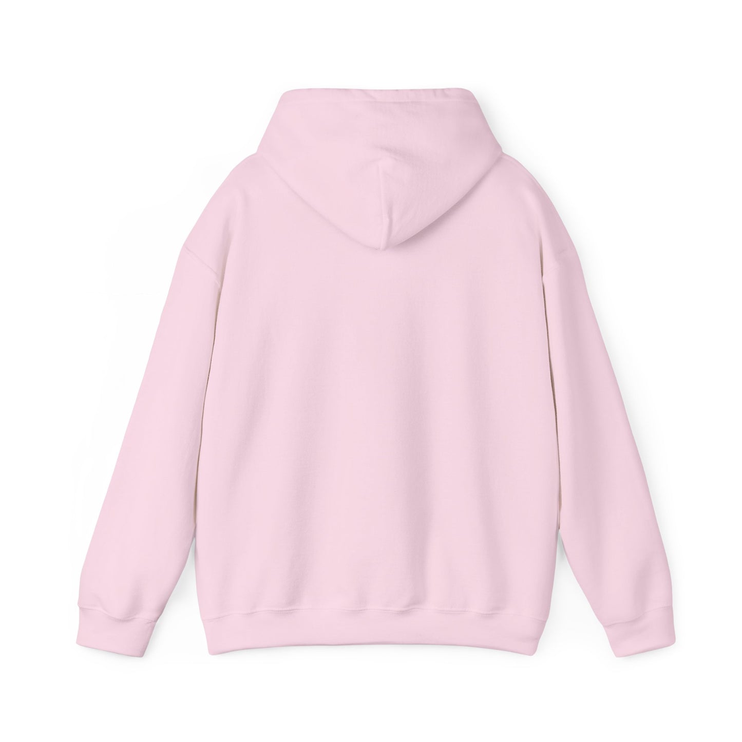 BORN TO LAST GIOSTORM HOODIE