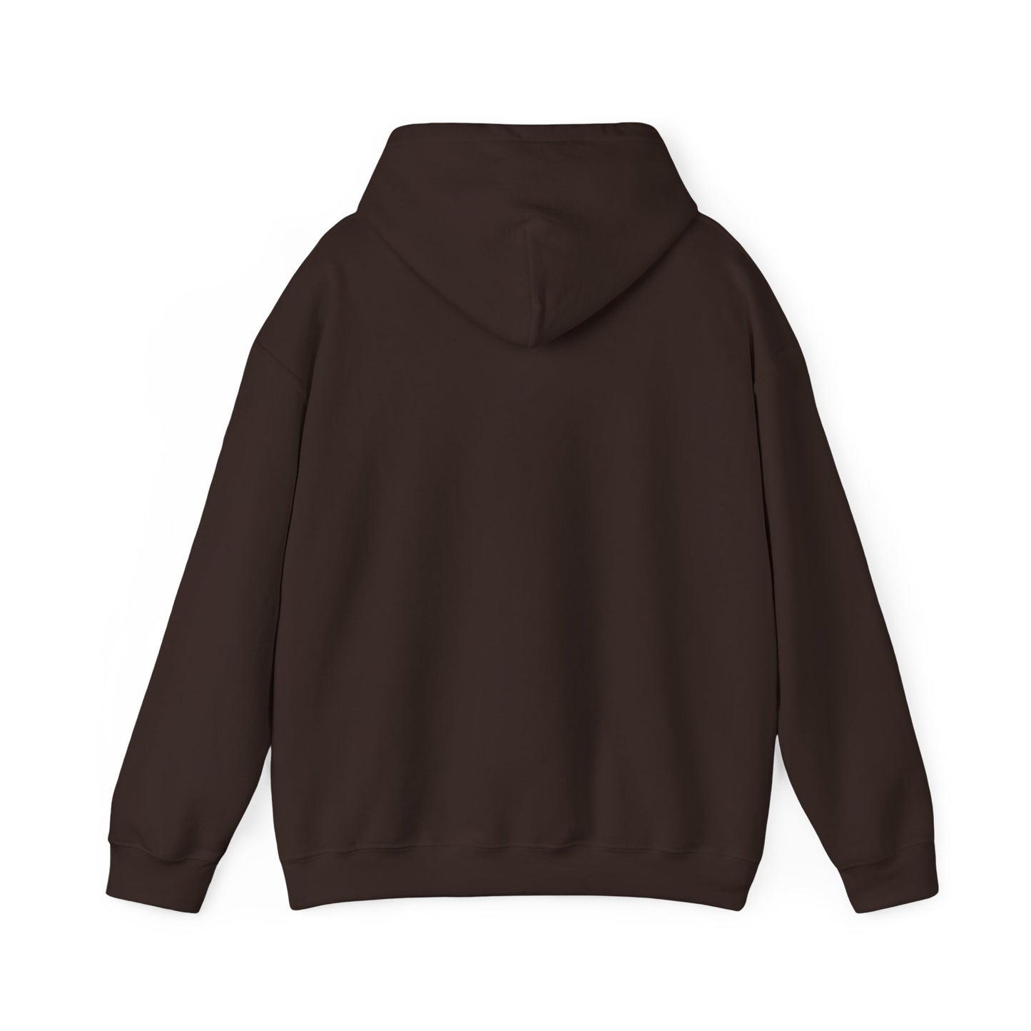 BORN TO LAST GIOSTORM HOODIE