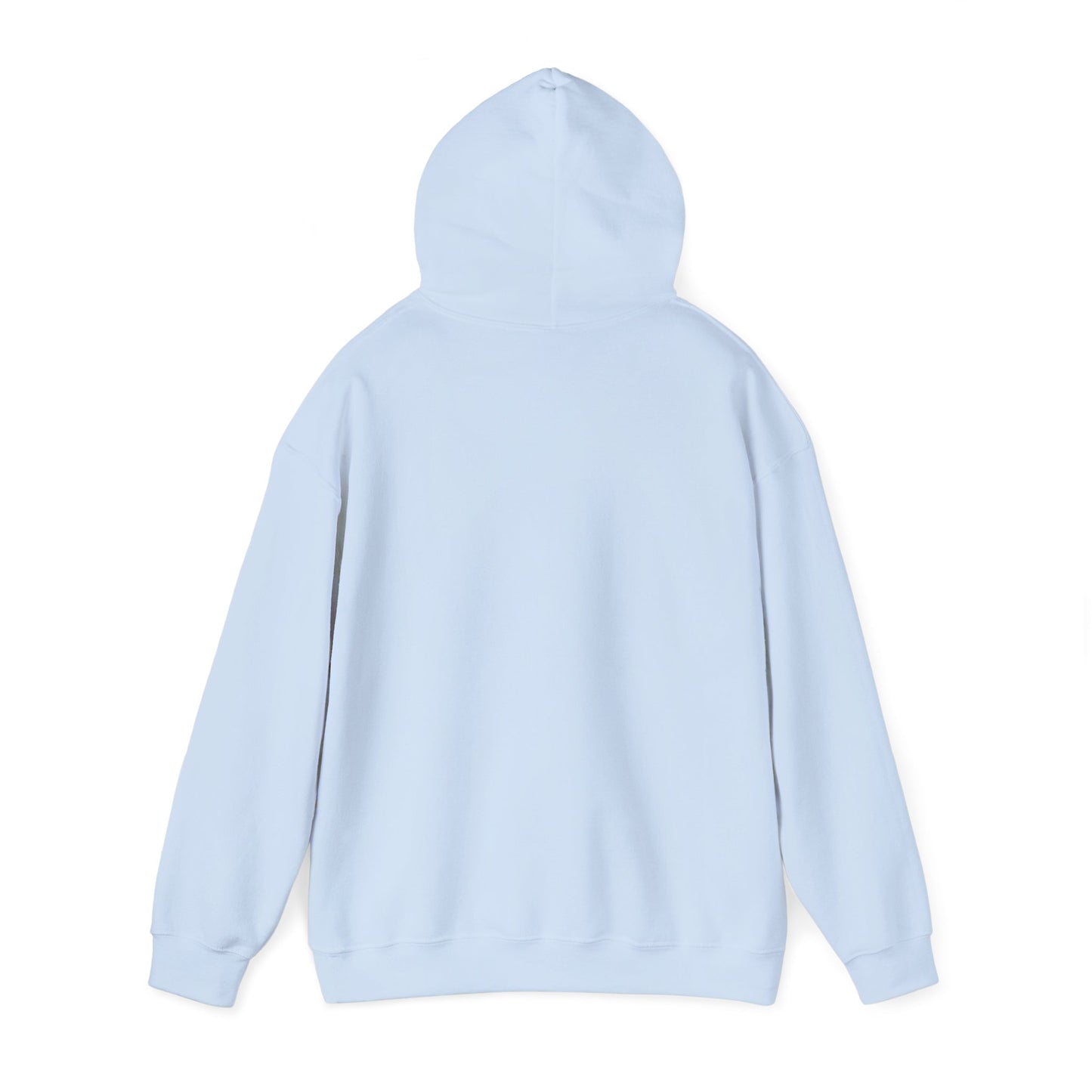 BORN TO LAST GIOSTORM HOODIE