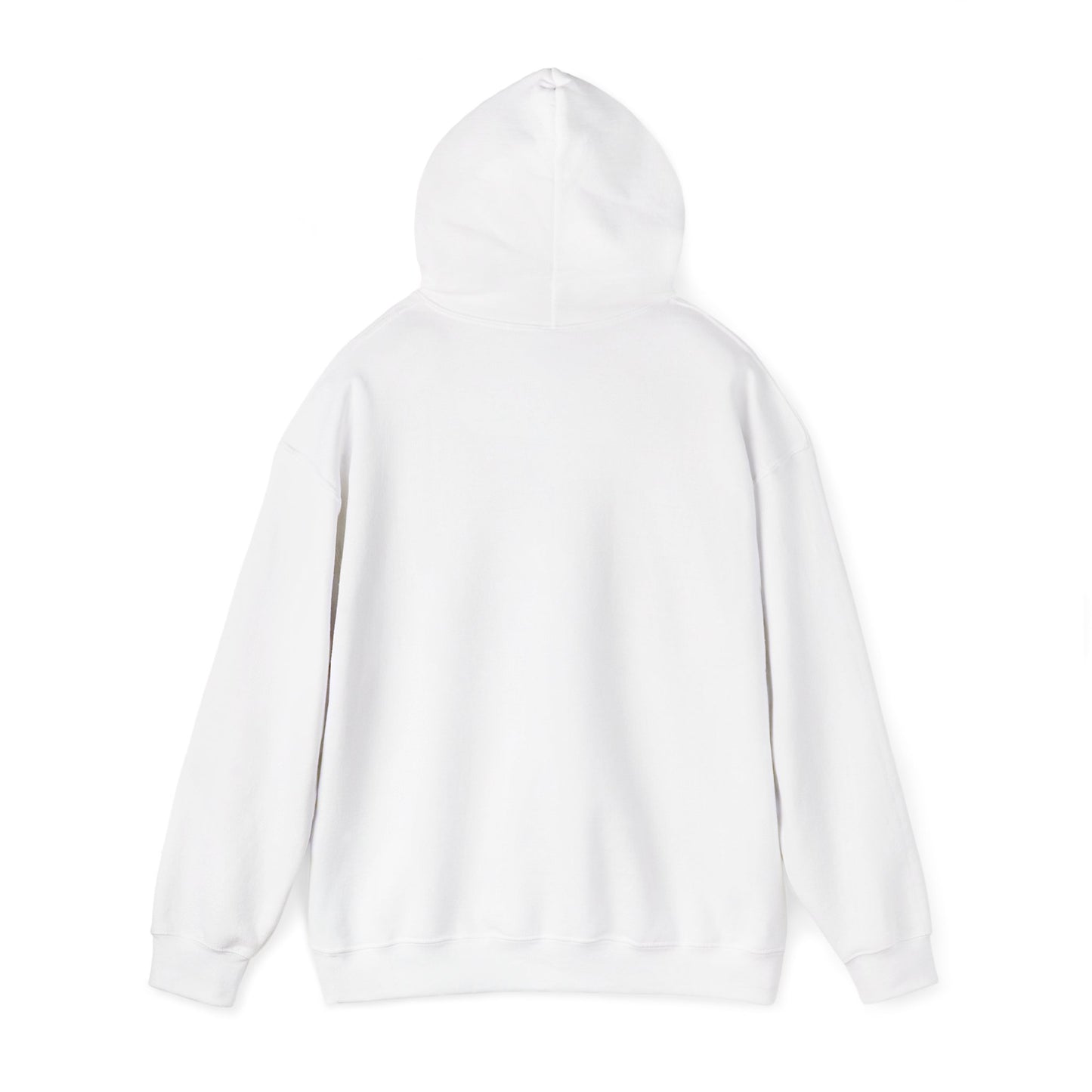 BORN TO LAST GIOSTORM HOODIE