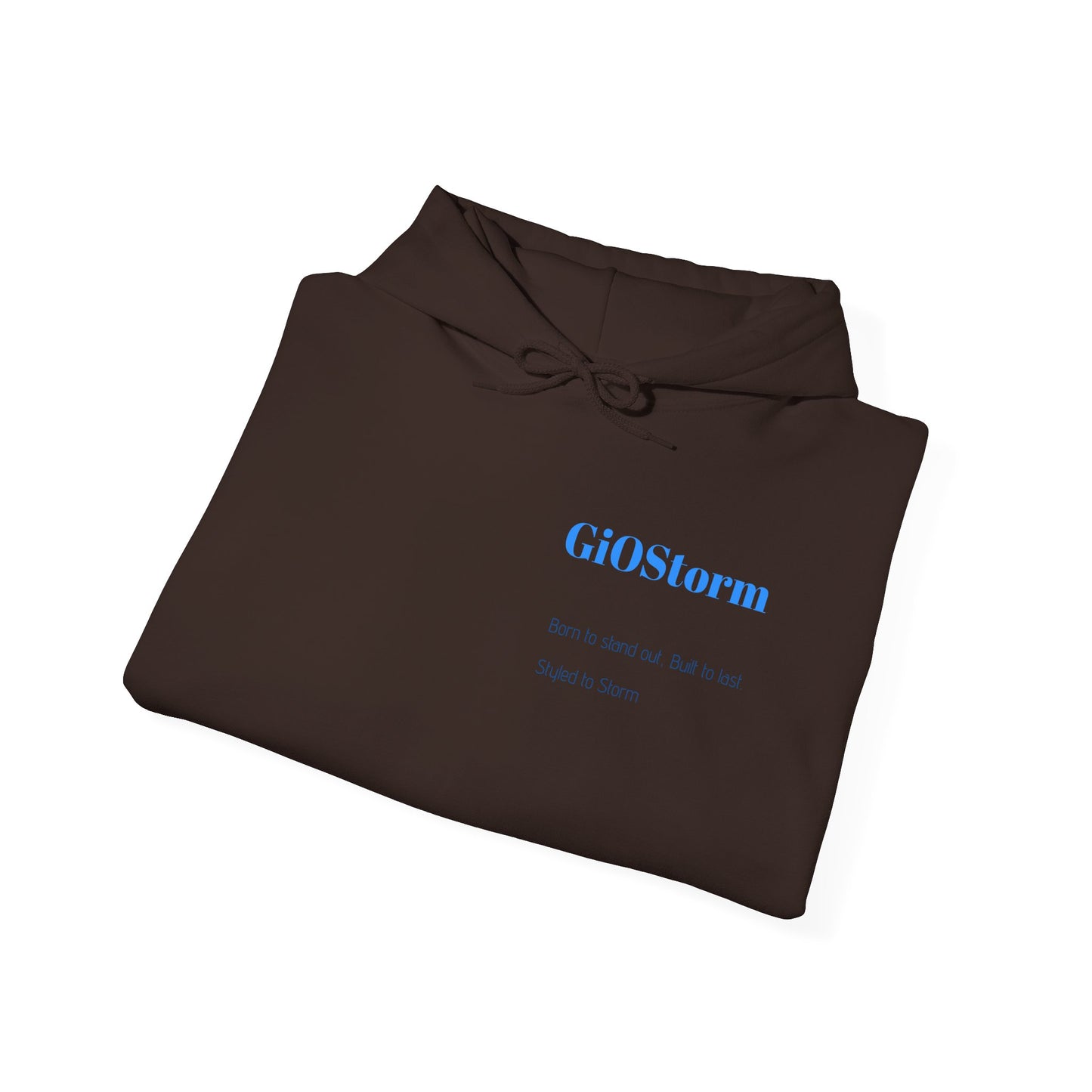 BORN TO LAST GIOSTORM HOODIE