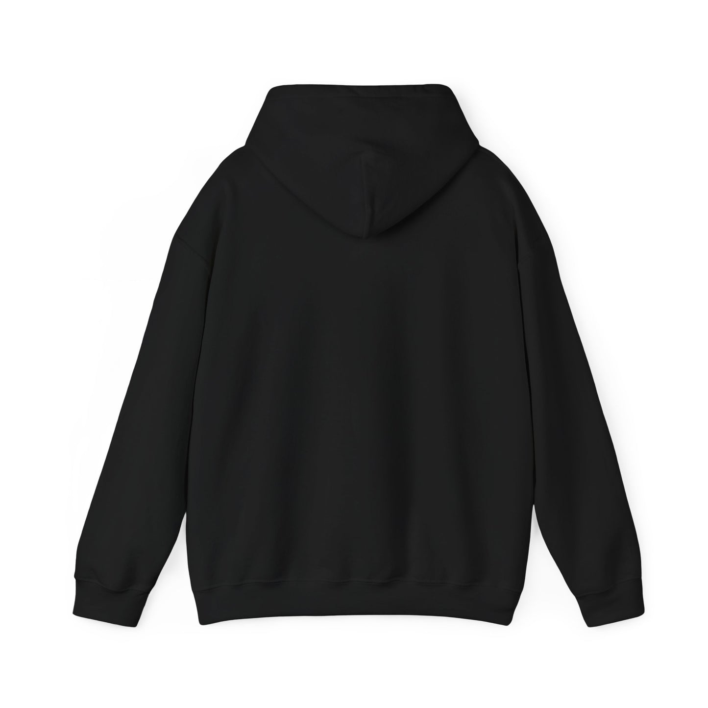 BORN TO LAST GIOSTORM HOODIE