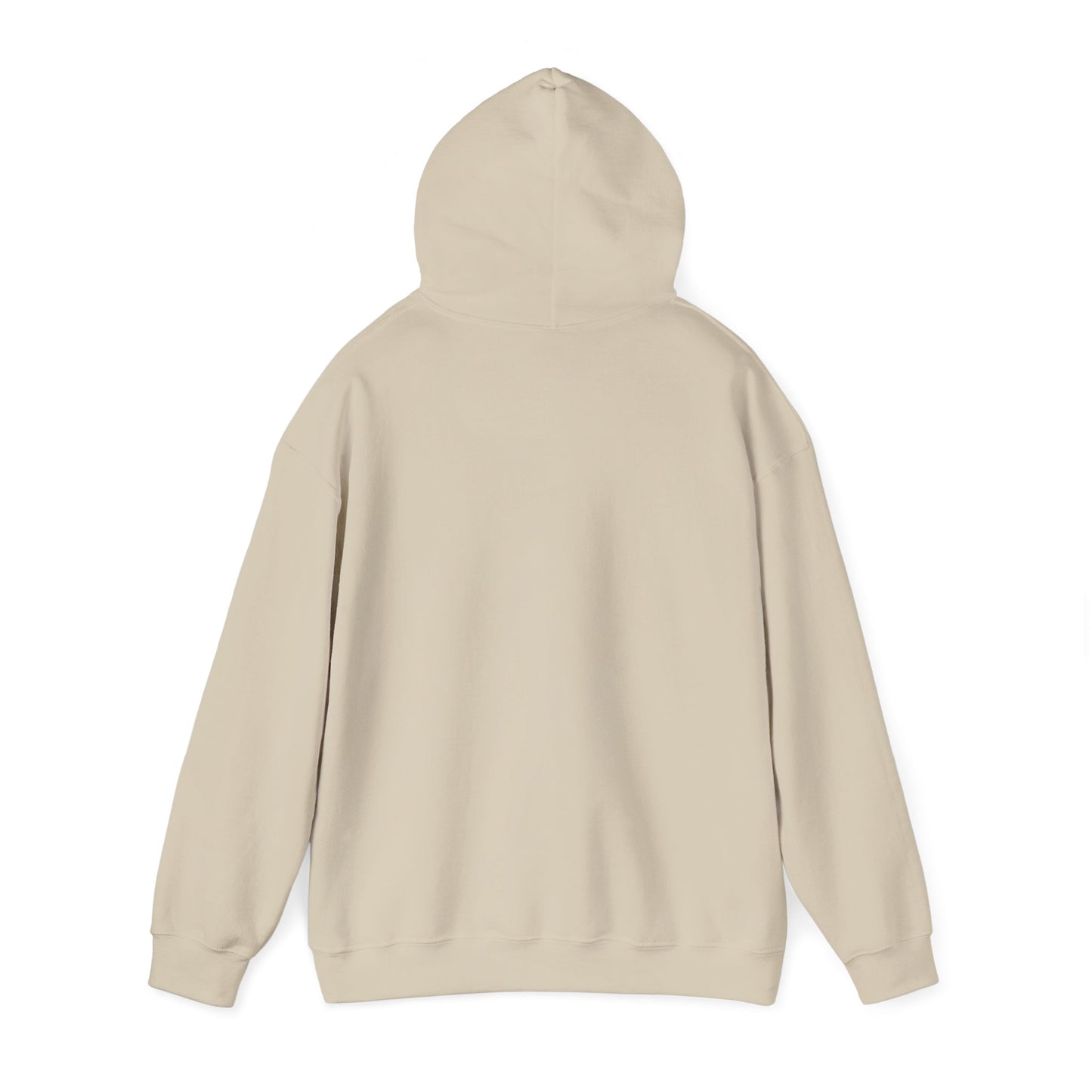 BORN TO LAST GIOSTORM HOODIE