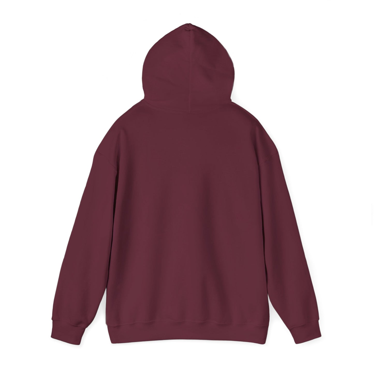 BORN TO LAST GIOSTORM HOODIE