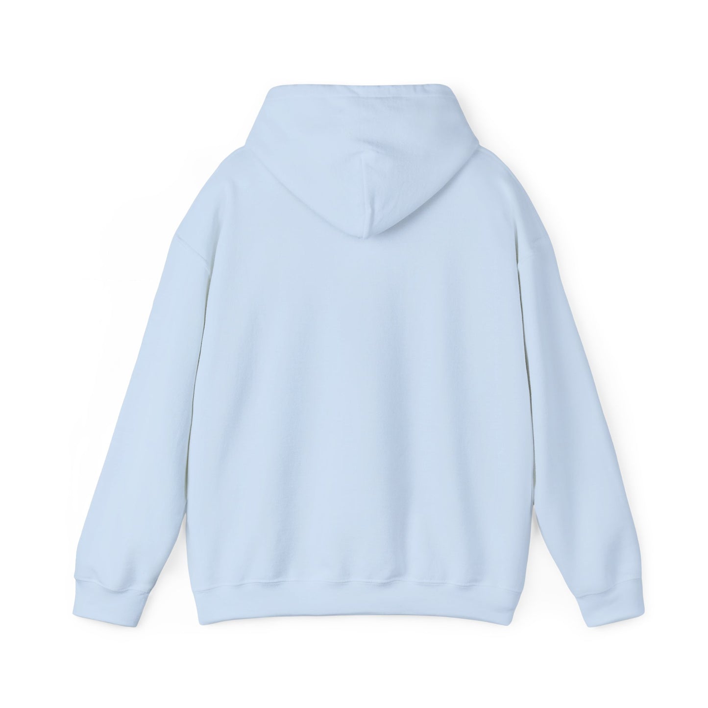 BORN TO LAST GIOSTORM HOODIE