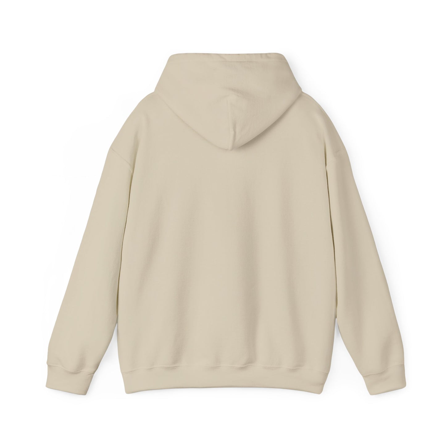BORN TO LAST GIOSTORM HOODIE