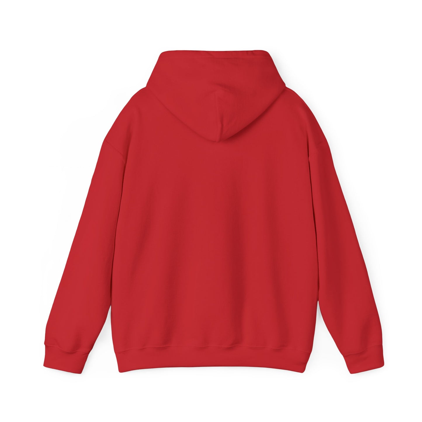 BORN TO LAST GIOSTORM HOODIE