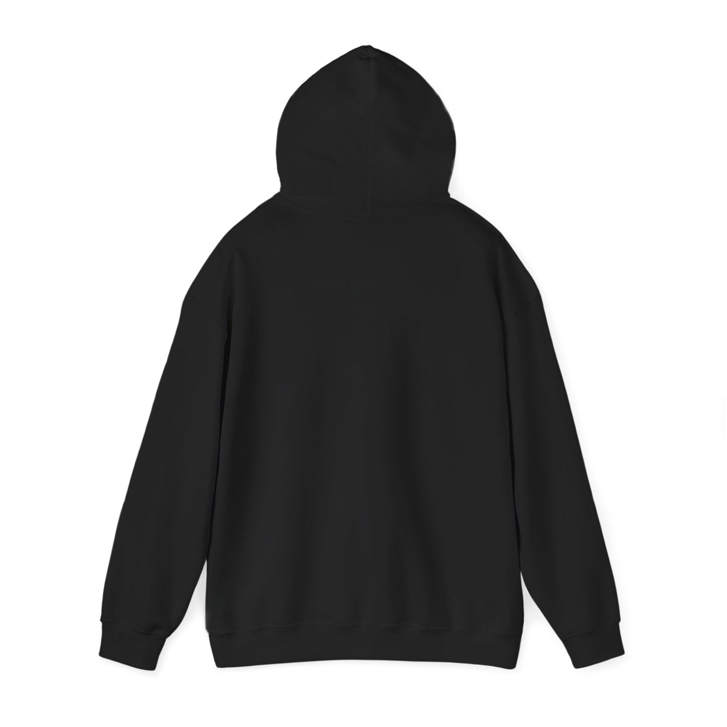 BORN TO LAST GIOSTORM HOODIE