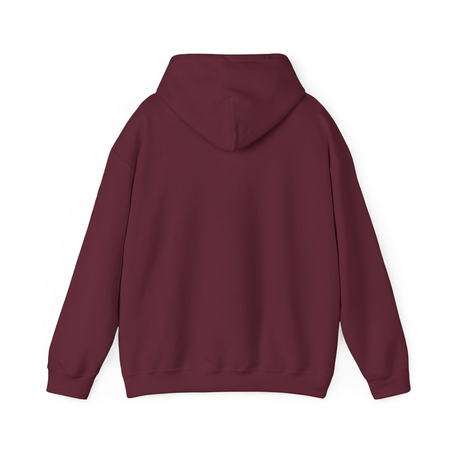 BORN TO LAST GIOSTORM HOODIE