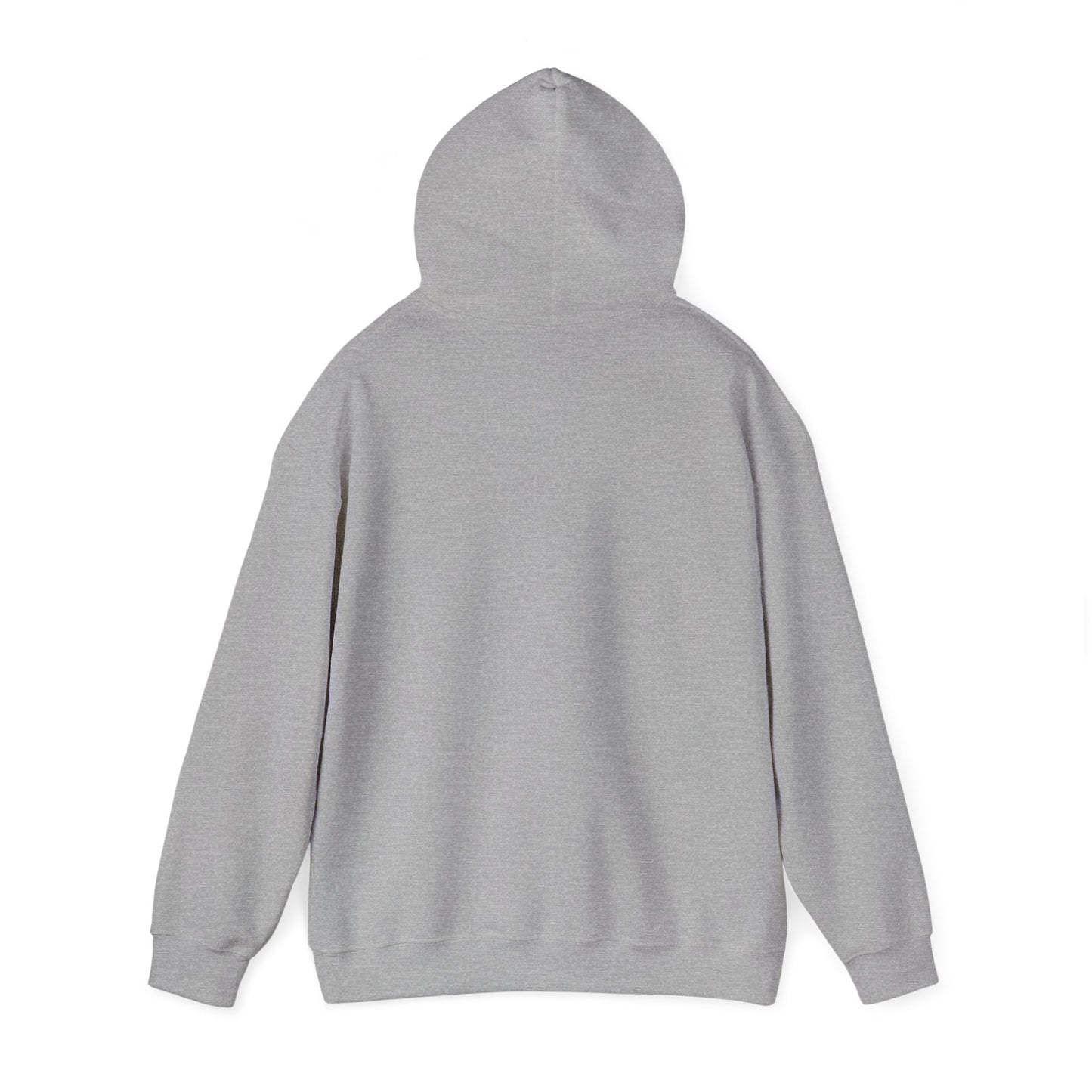 BORN TO LAST GIOSTORM HOODIE