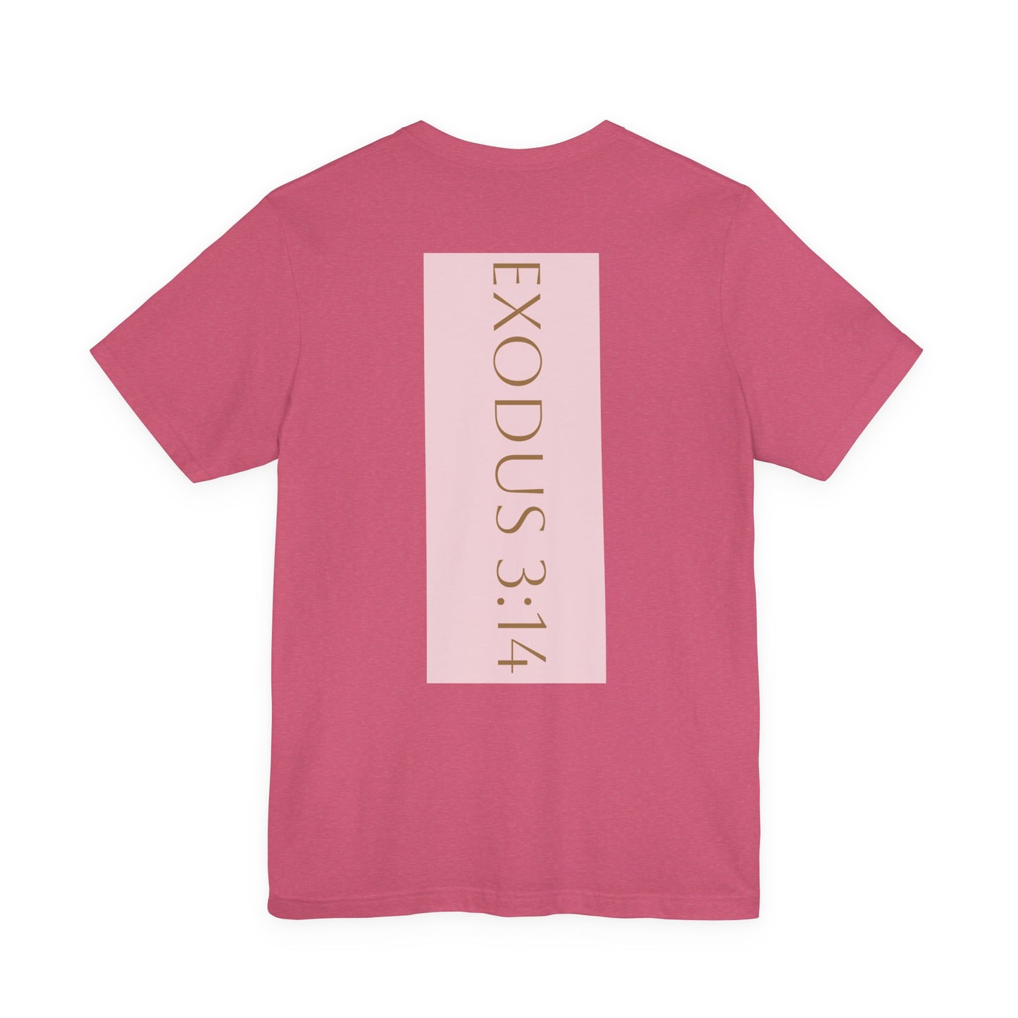 Styled to StormTee with Inspirational Message, ADULT WOMEN/MEN T-Shirt for All Occasions, Casual Wear, Gift for Friends, Summer Vibe, Outfit [...]
