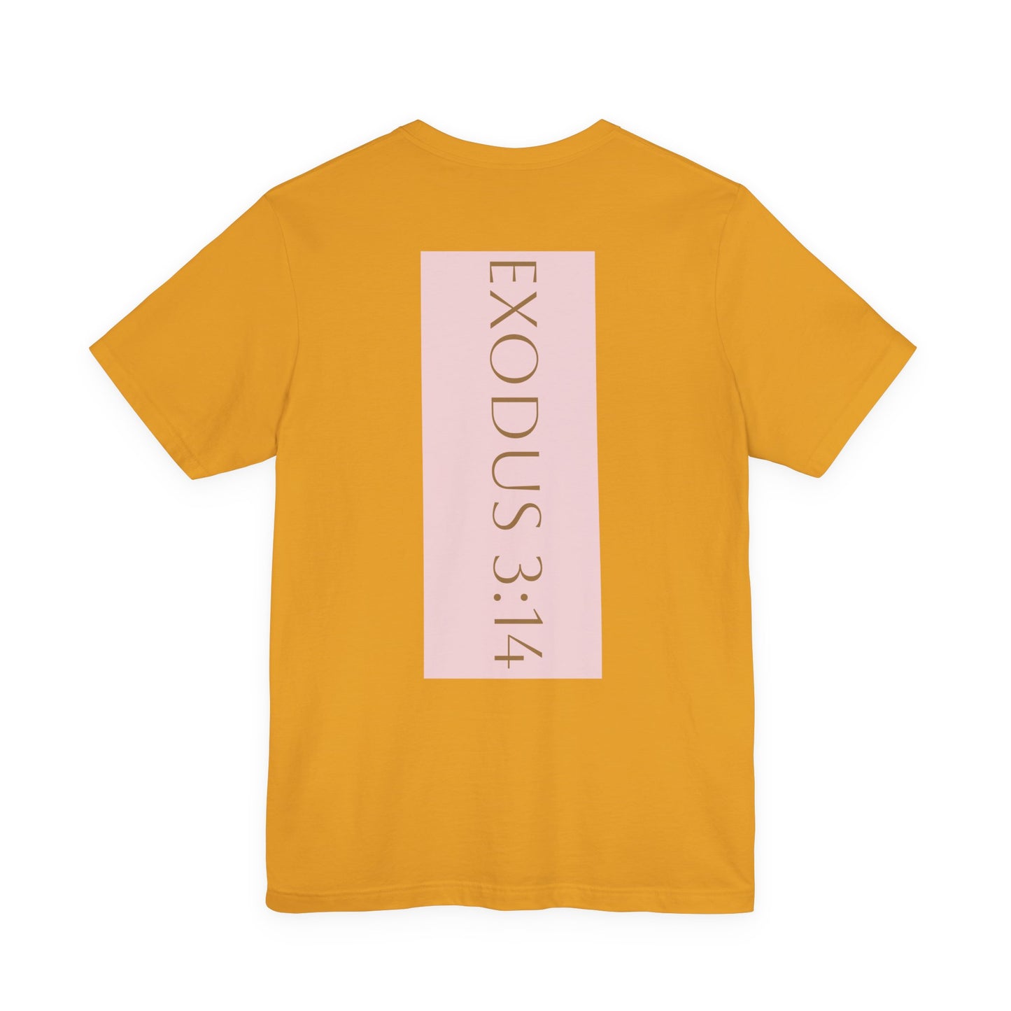 Styled to StormTee with Inspirational Message, ADULT WOMEN/MEN T-Shirt for All Occasions, Casual Wear, Gift for Friends, Summer Vibe, Outfit [...]