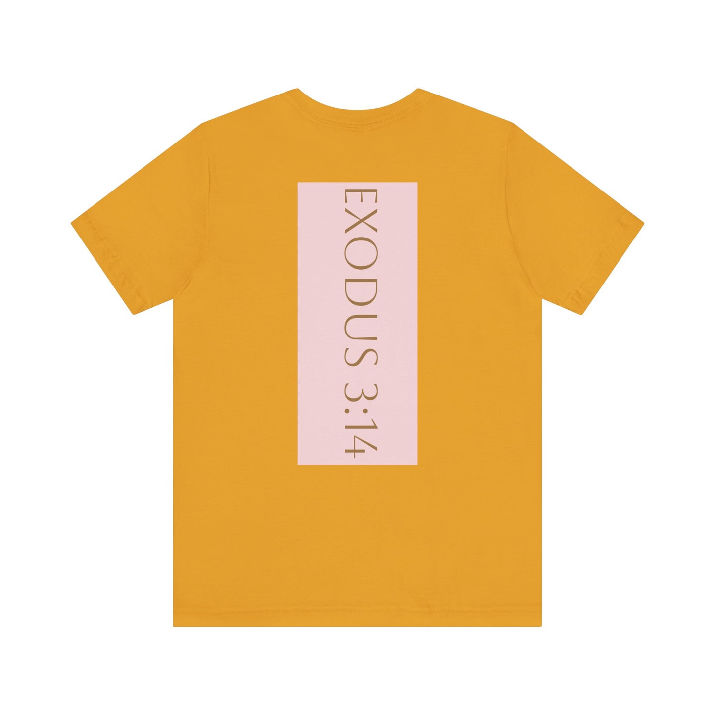 Styled to StormTee with Inspirational Message, ADULT WOMEN/MEN T-Shirt for All Occasions, Casual Wear, Gift for Friends, Summer Vibe, Outfit [...]