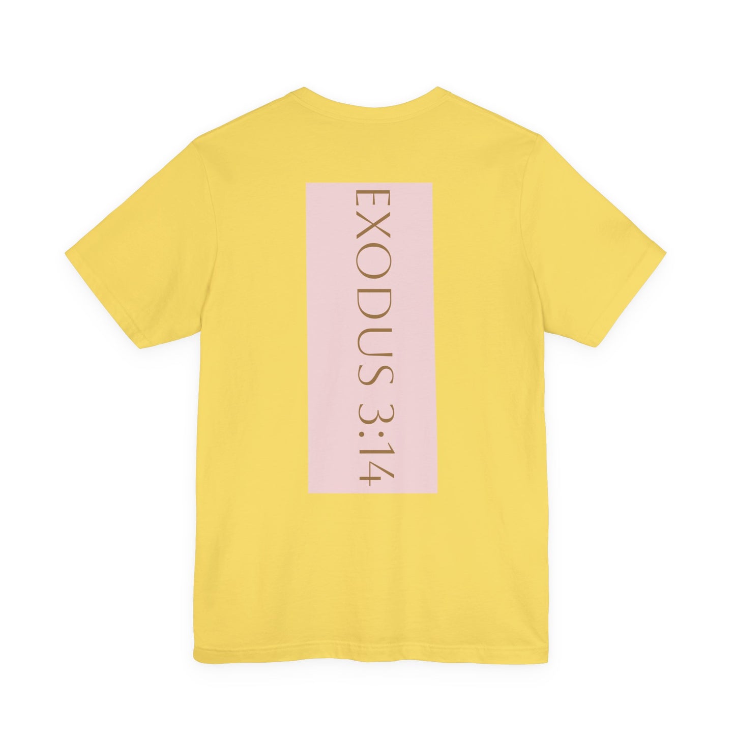 Styled to StormTee with Inspirational Message, ADULT WOMEN/MEN T-Shirt for All Occasions, Casual Wear, Gift for Friends, Summer Vibe, Outfit [...]