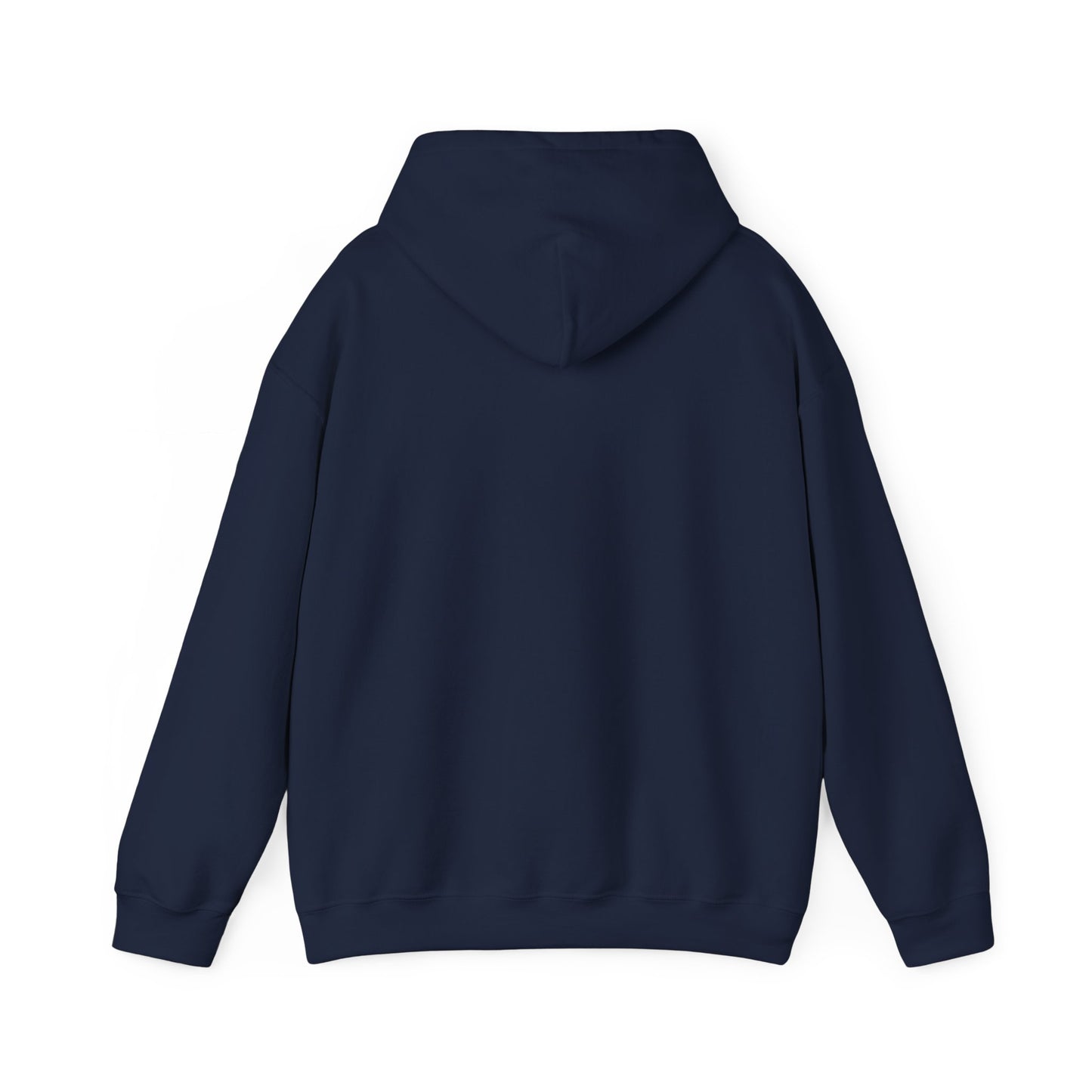 BORN TO LAST GIOSTORM HOODIE