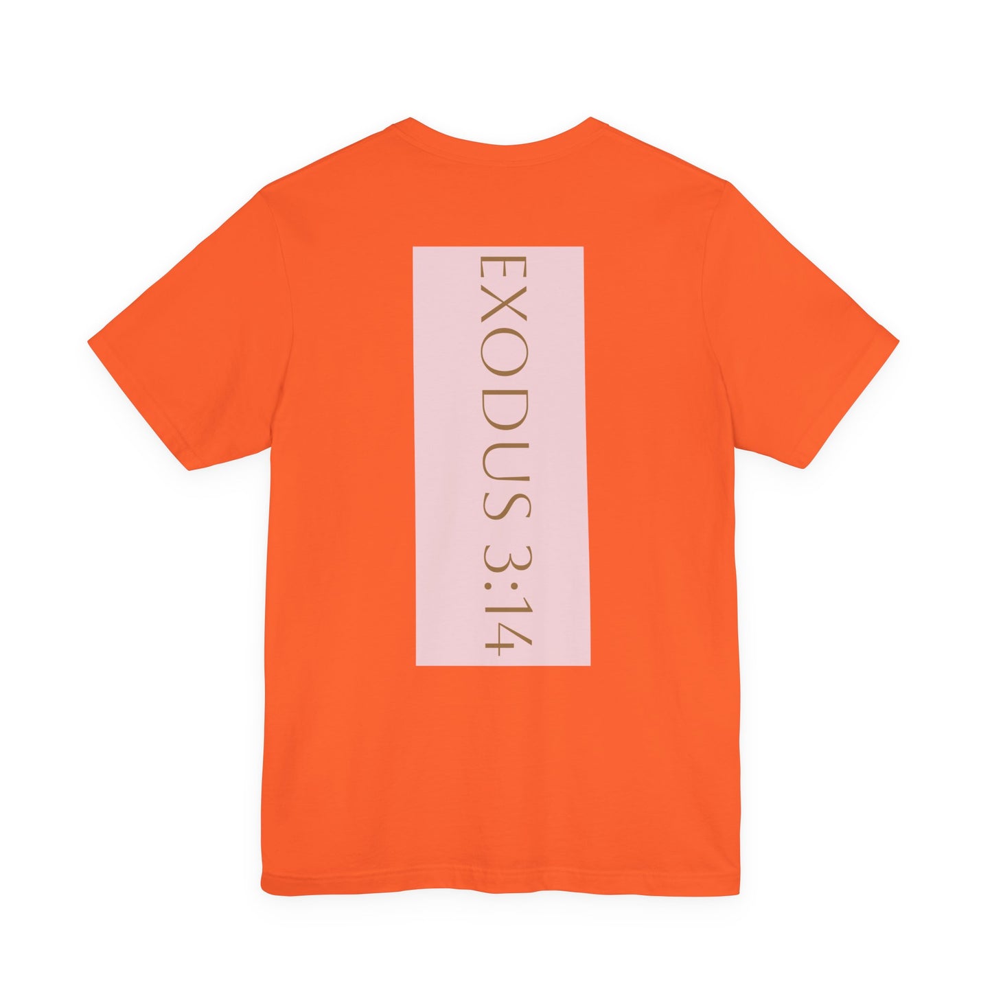 Styled to StormTee with Inspirational Message, ADULT WOMEN/MEN T-Shirt for All Occasions, Casual Wear, Gift for Friends, Summer Vibe, Outfit [...]