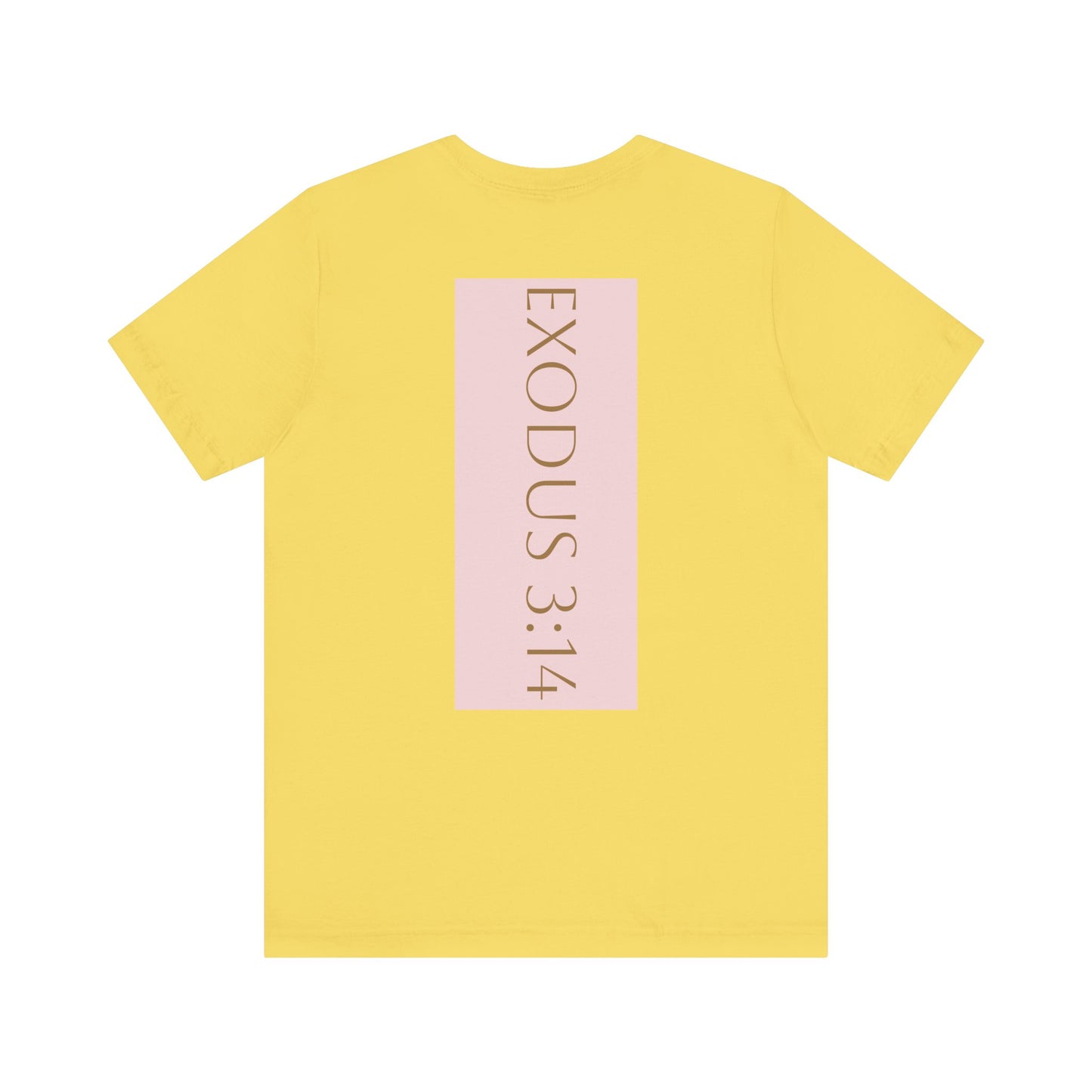 Styled to StormTee with Inspirational Message, ADULT WOMEN/MEN T-Shirt for All Occasions, Casual Wear, Gift for Friends, Summer Vibe, Outfit [...]