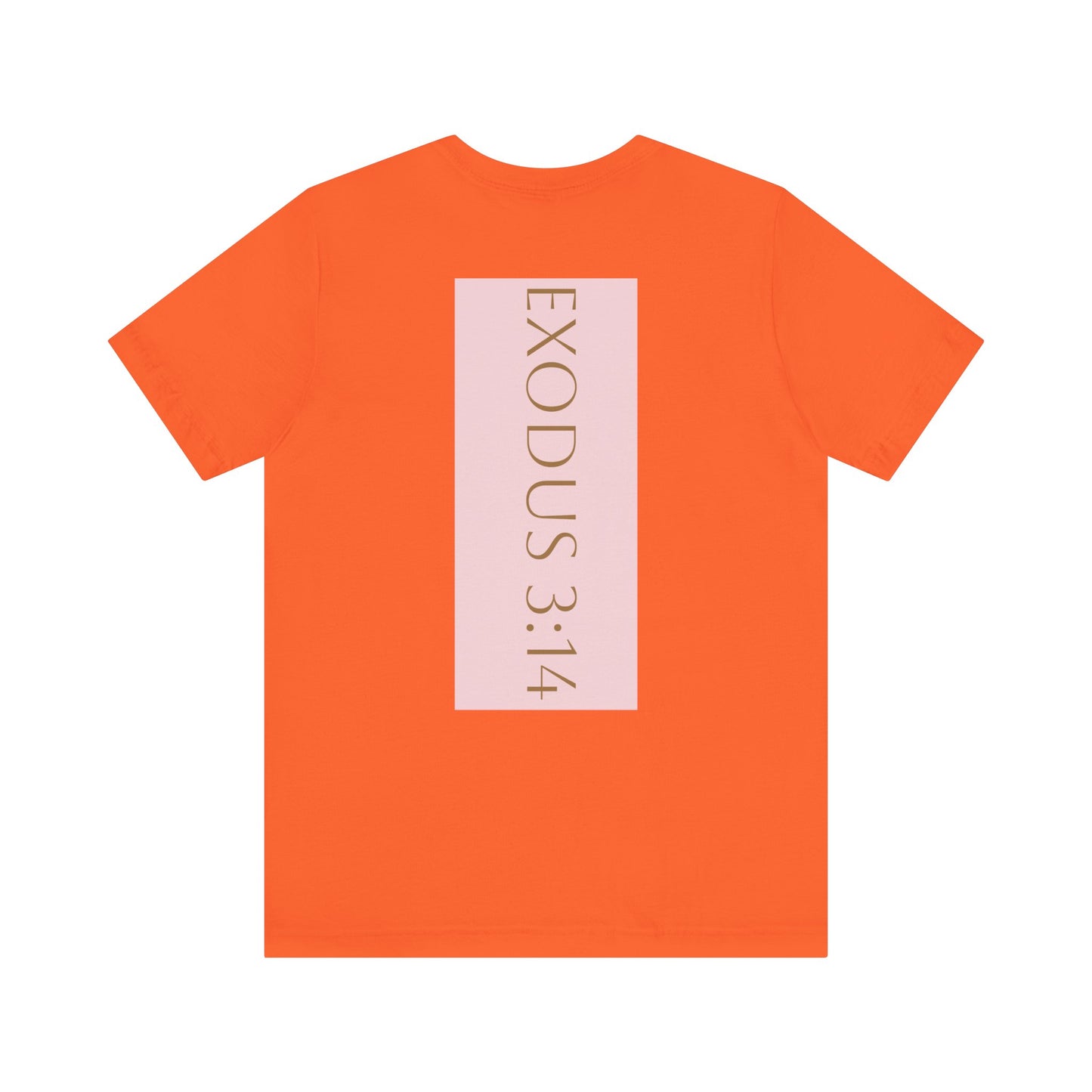 Styled to StormTee with Inspirational Message, ADULT WOMEN/MEN T-Shirt for All Occasions, Casual Wear, Gift for Friends, Summer Vibe, Outfit [...]