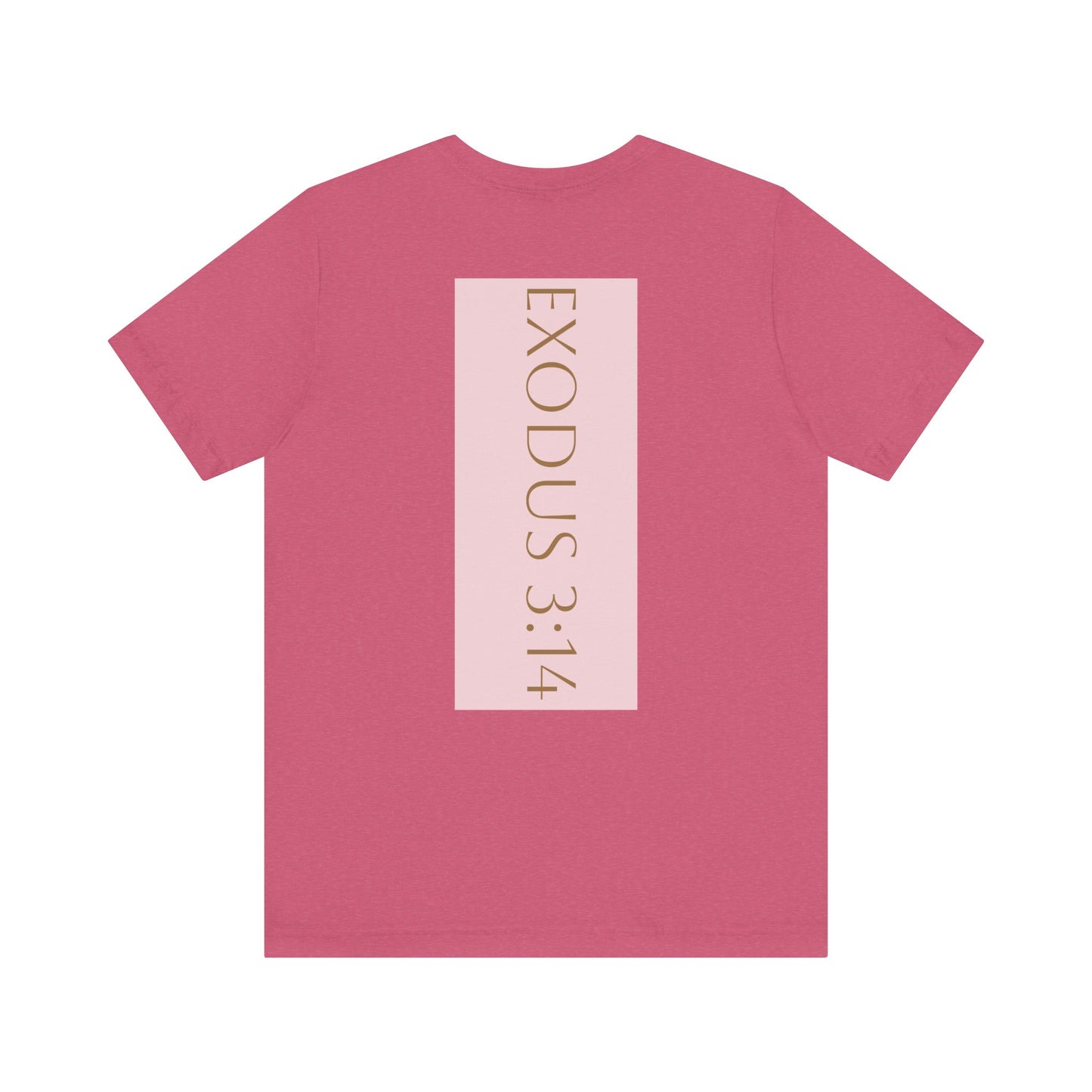 Styled to StormTee with Inspirational Message, ADULT WOMEN/MEN T-Shirt for All Occasions, Casual Wear, Gift for Friends, Summer Vibe, Outfit [...]