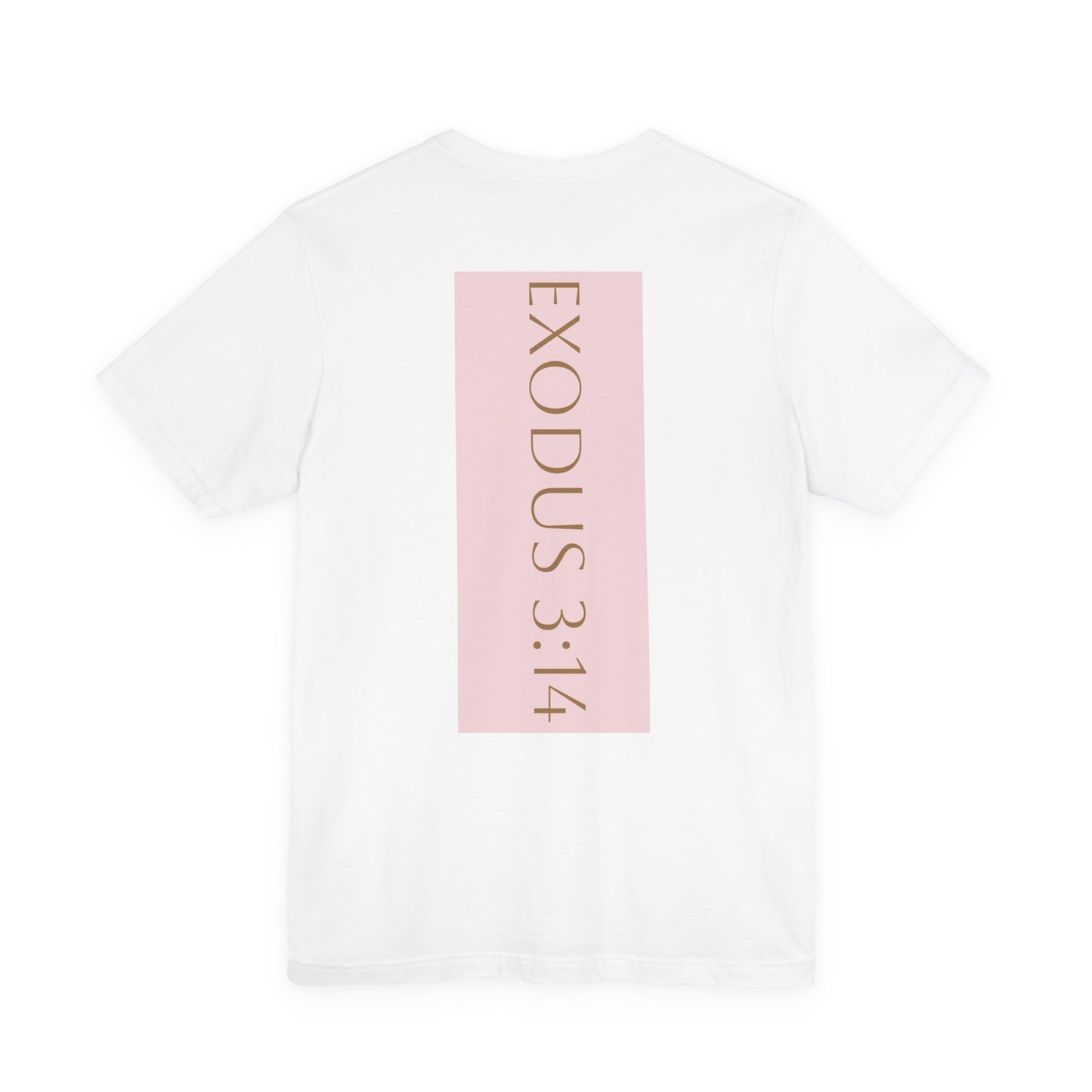 Styled to StormTee with Inspirational Message, ADULT WOMEN/MEN T-Shirt for All Occasions, Casual Wear, Gift for Friends, Summer Vibe, Outfit [...]