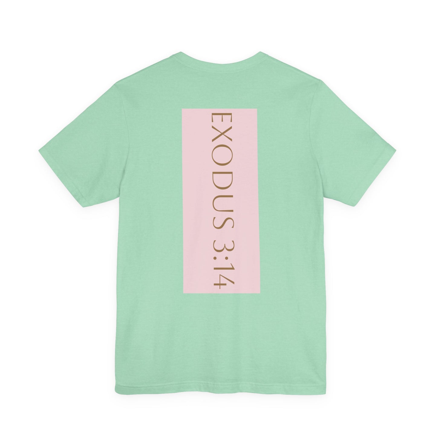 Styled to StormTee with Inspirational Message, ADULT WOMEN/MEN T-Shirt for All Occasions, Casual Wear, Gift for Friends, Summer Vibe, Outfit [...]