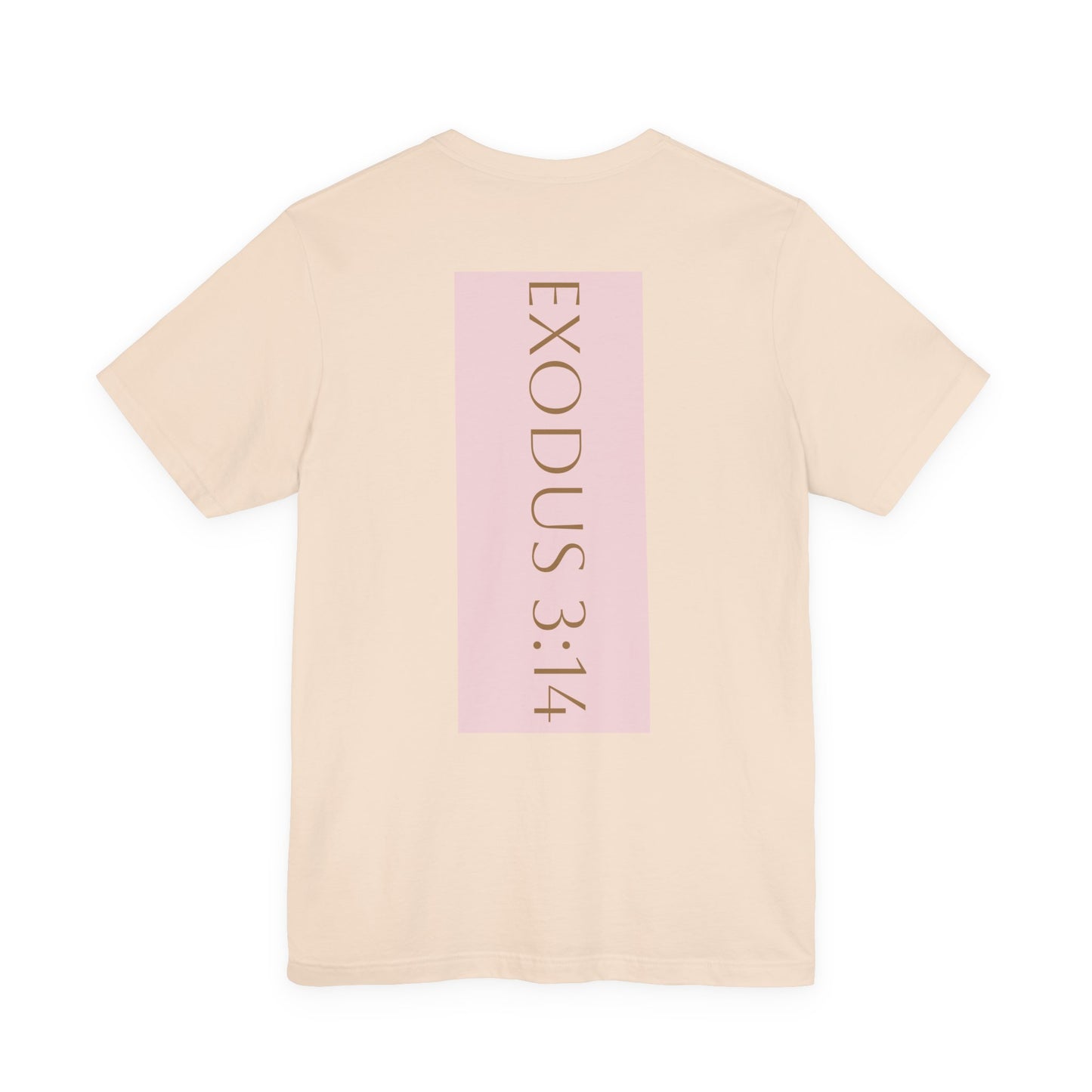 Styled to StormTee with Inspirational Message, ADULT WOMEN/MEN T-Shirt for All Occasions, Casual Wear, Gift for Friends, Summer Vibe, Outfit [...]