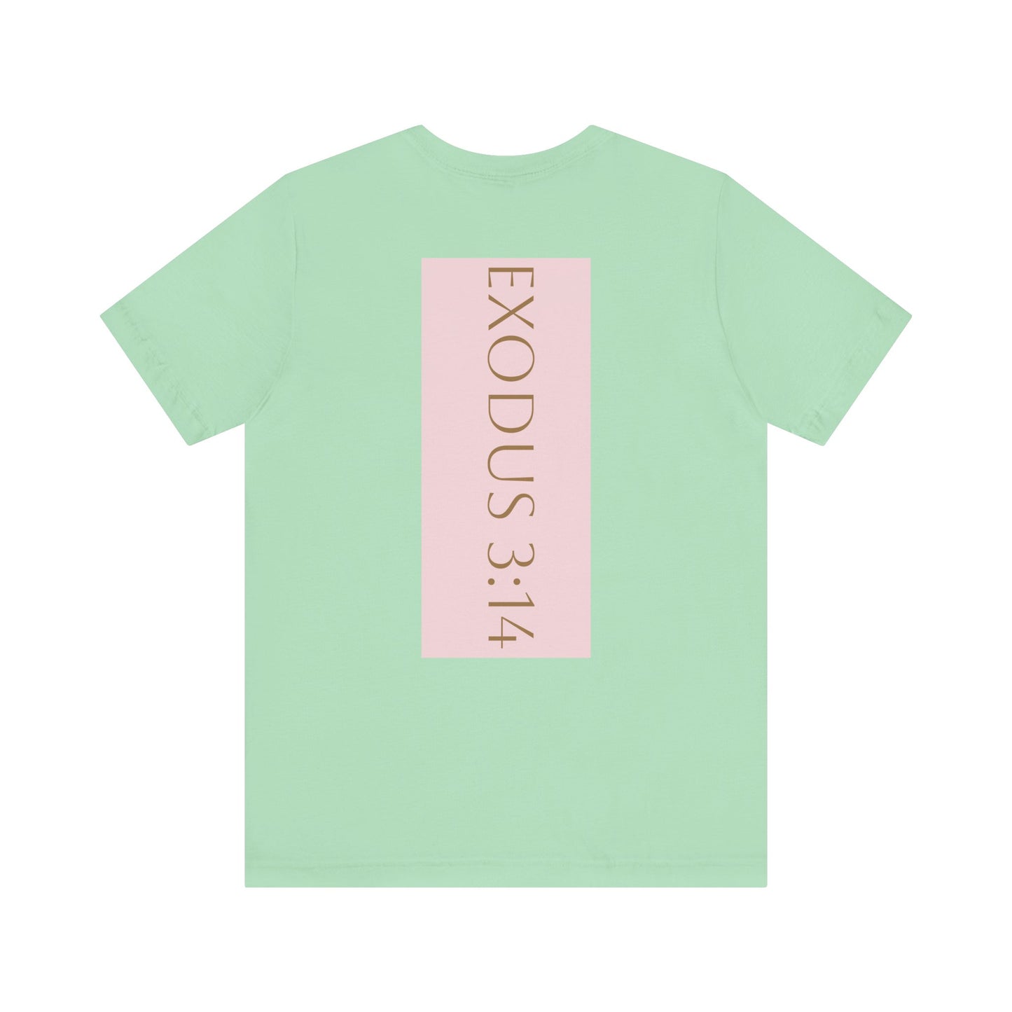 Styled to StormTee with Inspirational Message, ADULT WOMEN/MEN T-Shirt for All Occasions, Casual Wear, Gift for Friends, Summer Vibe, Outfit [...]