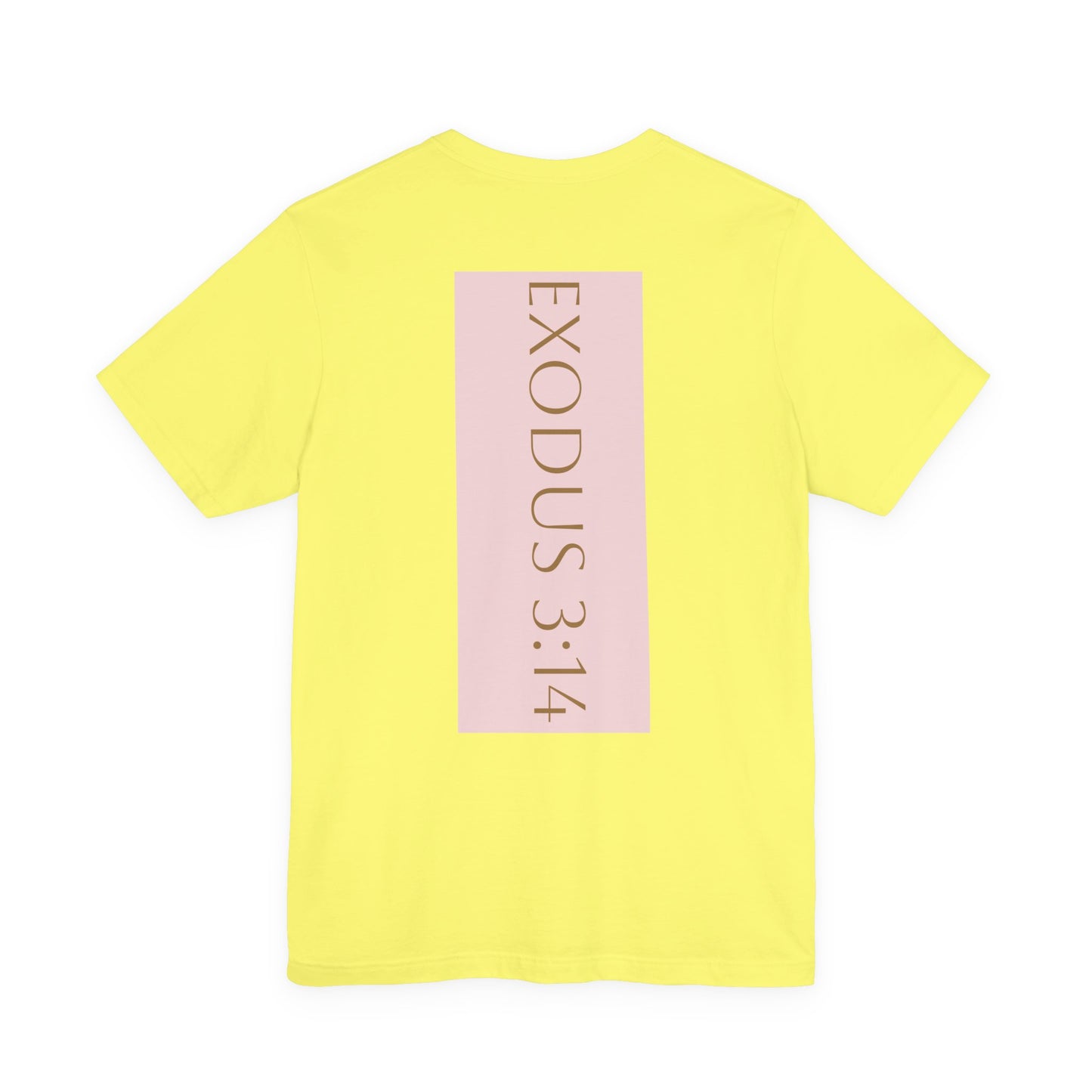 Styled to StormTee with Inspirational Message, ADULT WOMEN/MEN T-Shirt for All Occasions, Casual Wear, Gift for Friends, Summer Vibe, Outfit [...]