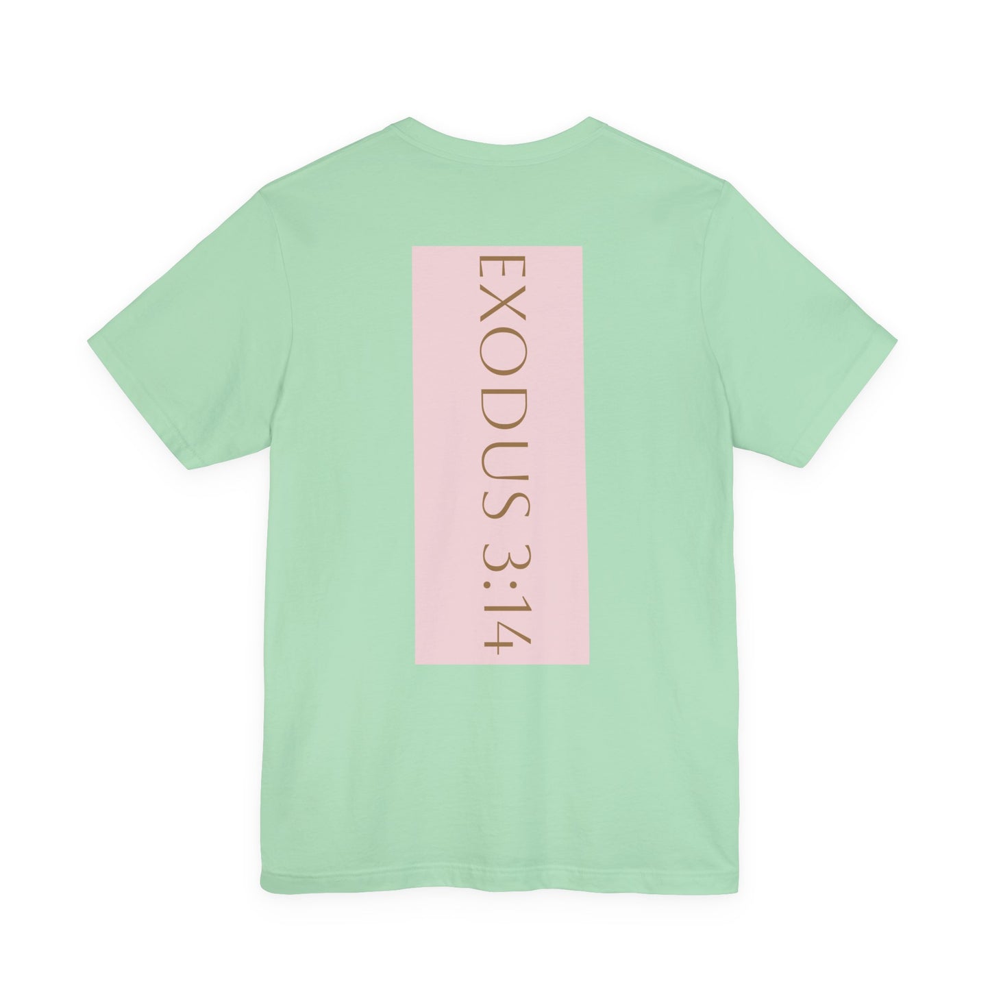Styled to StormTee with Inspirational Message, ADULT WOMEN/MEN T-Shirt for All Occasions, Casual Wear, Gift for Friends, Summer Vibe, Outfit [...]