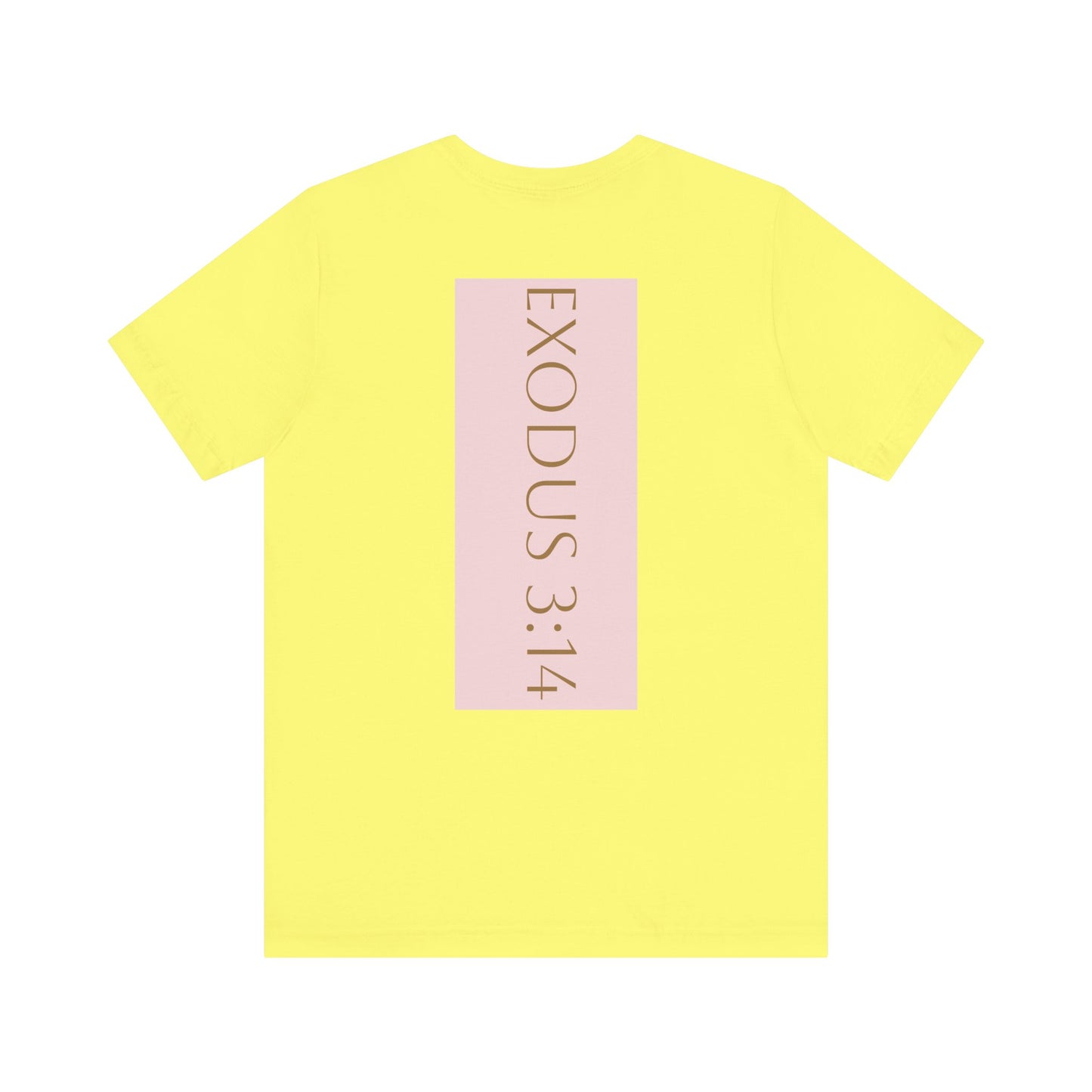 Styled to StormTee with Inspirational Message, ADULT WOMEN/MEN T-Shirt for All Occasions, Casual Wear, Gift for Friends, Summer Vibe, Outfit [...]