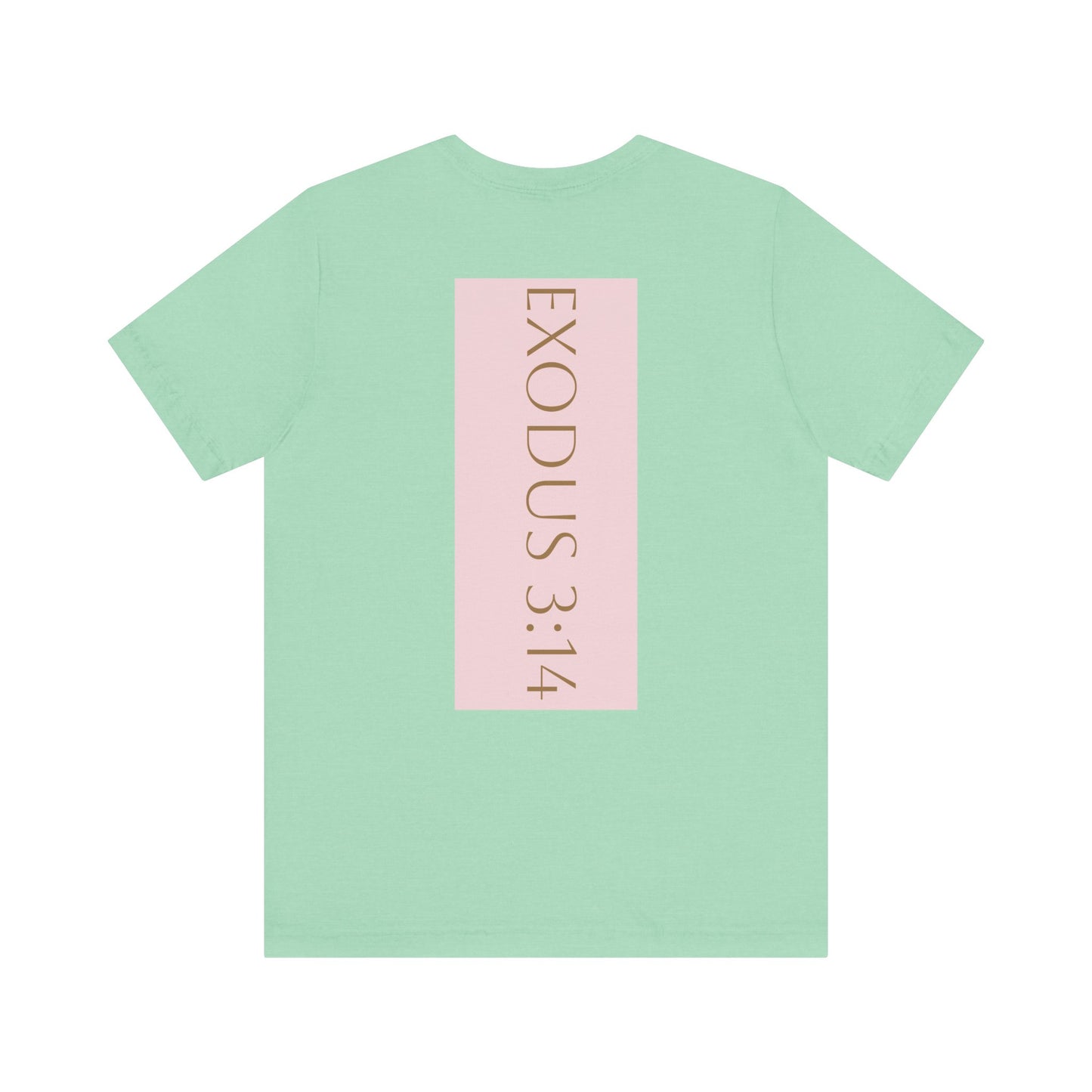Styled to StormTee with Inspirational Message, ADULT WOMEN/MEN T-Shirt for All Occasions, Casual Wear, Gift for Friends, Summer Vibe, Outfit [...]