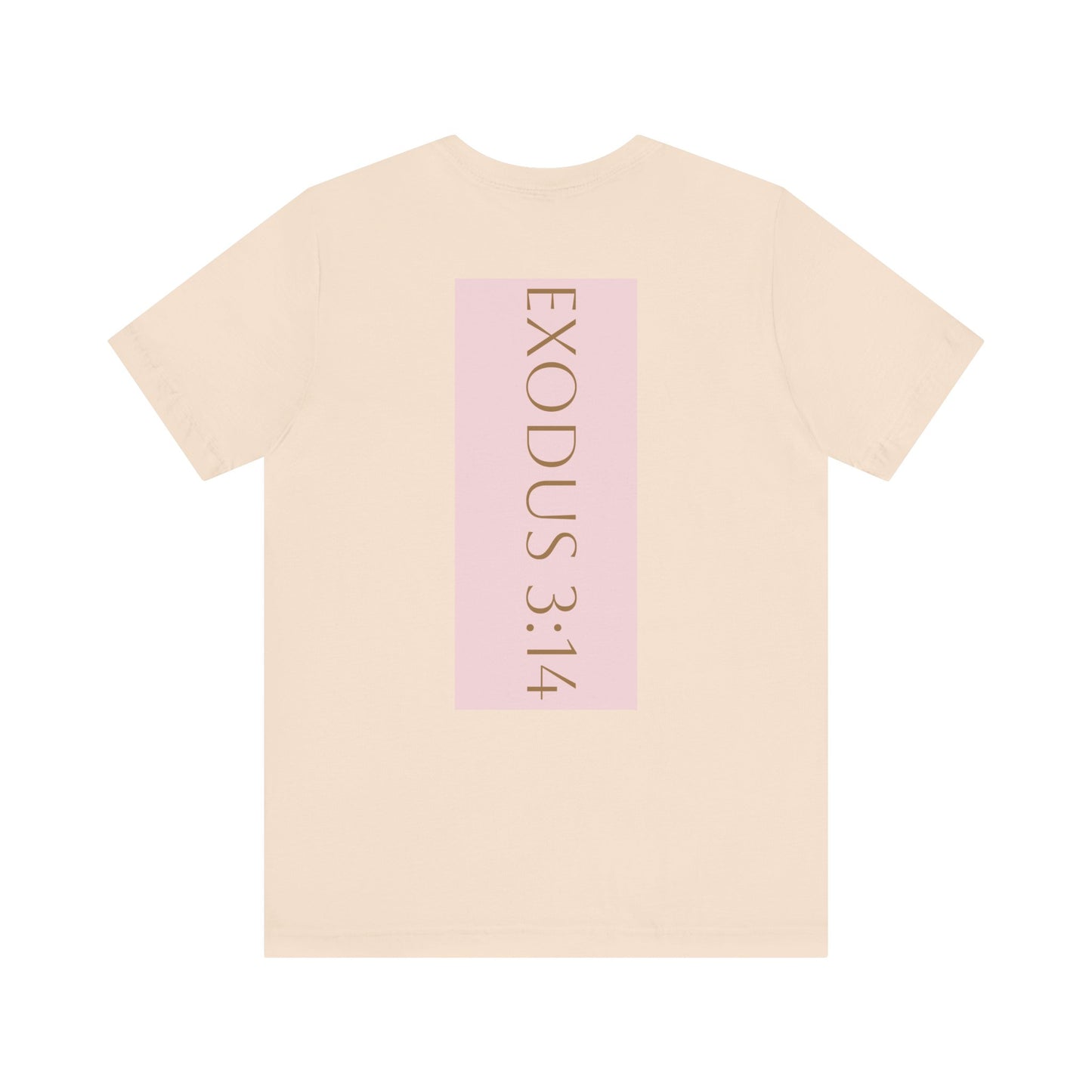 Styled to StormTee with Inspirational Message, ADULT WOMEN/MEN T-Shirt for All Occasions, Casual Wear, Gift for Friends, Summer Vibe, Outfit [...]